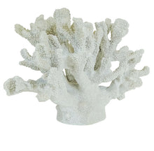Load image into Gallery viewer, Coral Decor
