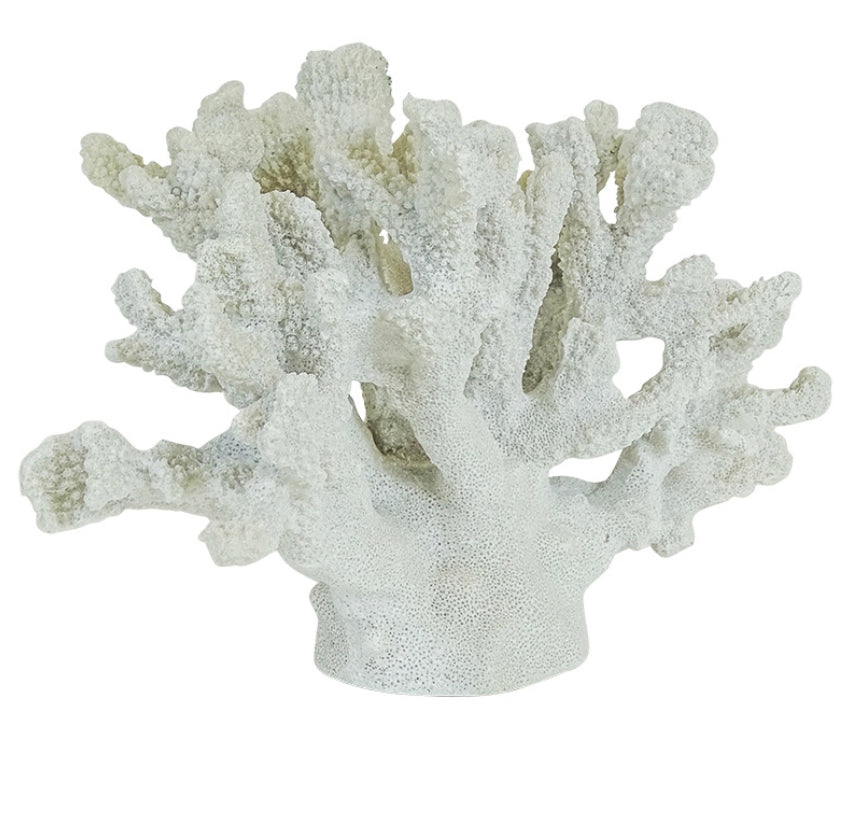 Coral Decor